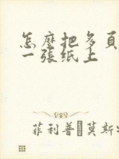 怎么把多页打印一张纸上