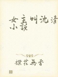 女主叫沈清婉的小说