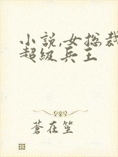 小说,女总裁的超级兵王