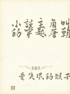 小说主角叫李辰的穿越唐朝小说