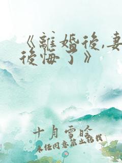 《离婚后,妻子后悔了》
