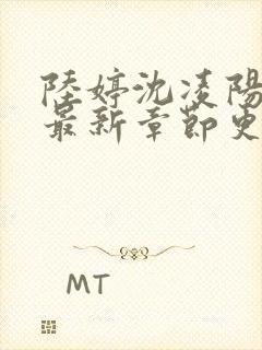 陆婷沈凌阳小说最新章节更新内容