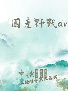 国产野战av