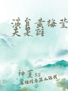 演员黄梅莹的丈夫是谁