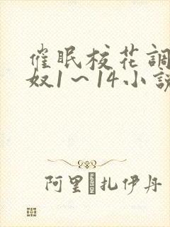 催眠校花调教肉奴1～14小说