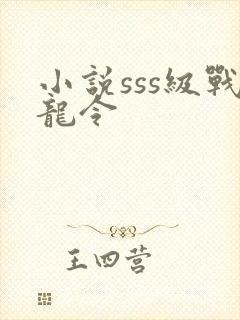 小说sss级战龙令