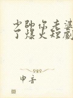 少帅你老婆又跑了爆火短剧