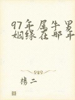 97年属牛男的姻缘在哪年结婚