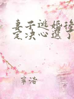 妻子逃婚后我下定决心选了她的小说