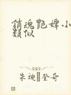 销魂艳婢小说相类似
