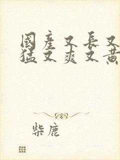 国产又长又粗又猛又爽又黄的视频