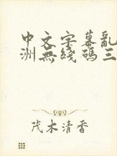 中文字幕乱码亚洲无线码三区