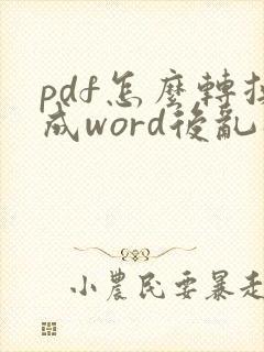 pdf怎么转换成word后乱码怎么办