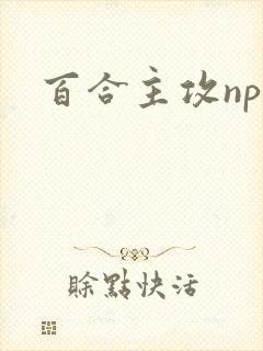 百合主攻np文