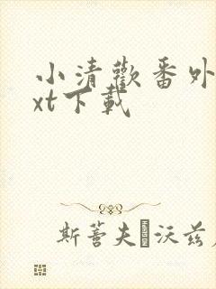 小清欢番外篇txt下载