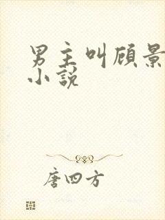 男主叫顾景琰的小说