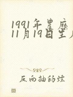 1991年农历11月19日生辰八字