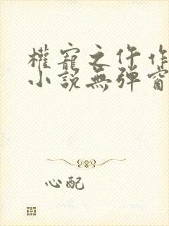 权宠之仵作医妃小说无弹窗
