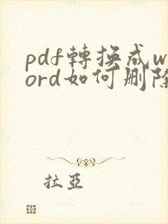 pdf转换成word如何删除空白页