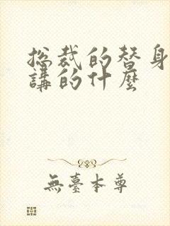 总裁的替身前妻讲的什么