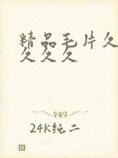 精品毛片久久久久久久