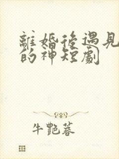 离婚后遇见心软的神短剧