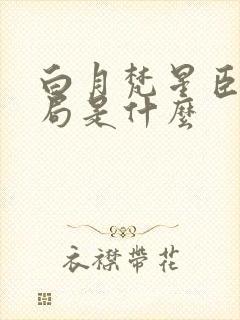 白月梵星臣夜结局是什么