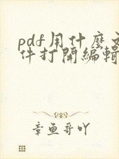 pdf用什么文件打开编辑