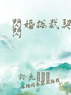 闪婚总裁契约妻闪