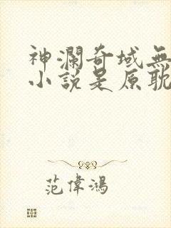 神澜奇域无双珠小说是原耽吗