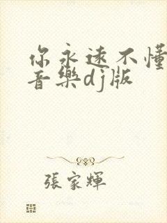 你永远不懂我纯音乐dj版