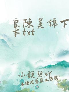 良陈美锦下载全本txt