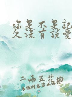 你是不是记得多久没有说爱我,歌词