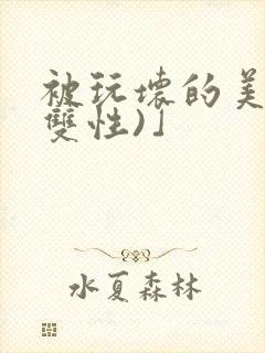 被玩坏的美人(双性)」