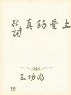 我真的爱上你歌词
