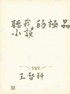 听我的极品老婆小说