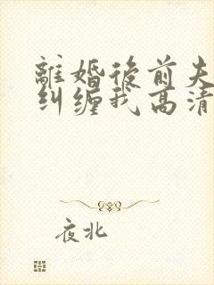 离婚后前夫总想纠缠我高清