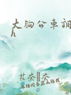 大胸公车调教高h