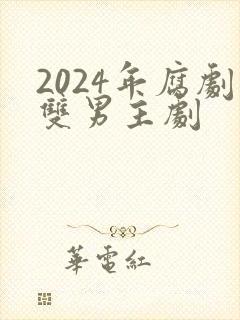 2024年腐剧双男主剧