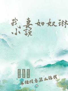 我妻如奴琳原文小说