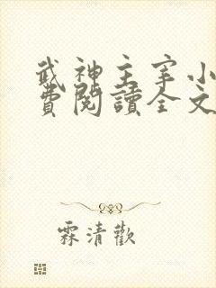 武神主宰小说免费阅读全文无弹窗
