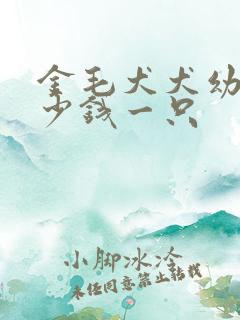 金毛犬犬幼犬多少钱一只