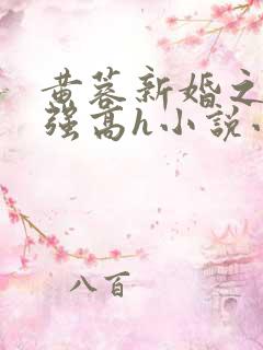 黄蓉新婚之夜被强高h小说小说