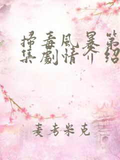 扫毒风暴第33集剧情介绍