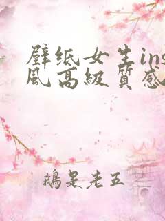 壁纸女生ins风高级质感全屏下载