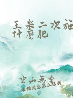 玉米二次施肥用什么肥