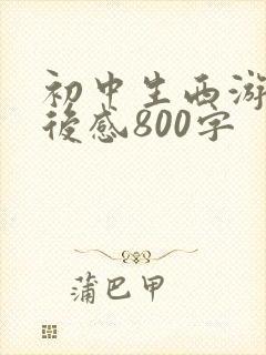 初中生西游记读后感800字