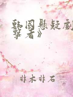 韩国悬疑剧《目击者》