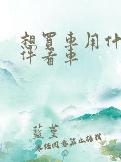 想买车用什么软件看车
