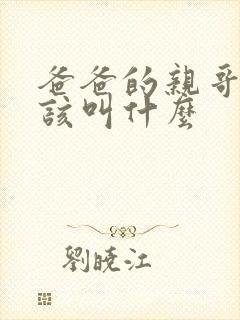 爸爸的亲哥哥应该叫什么